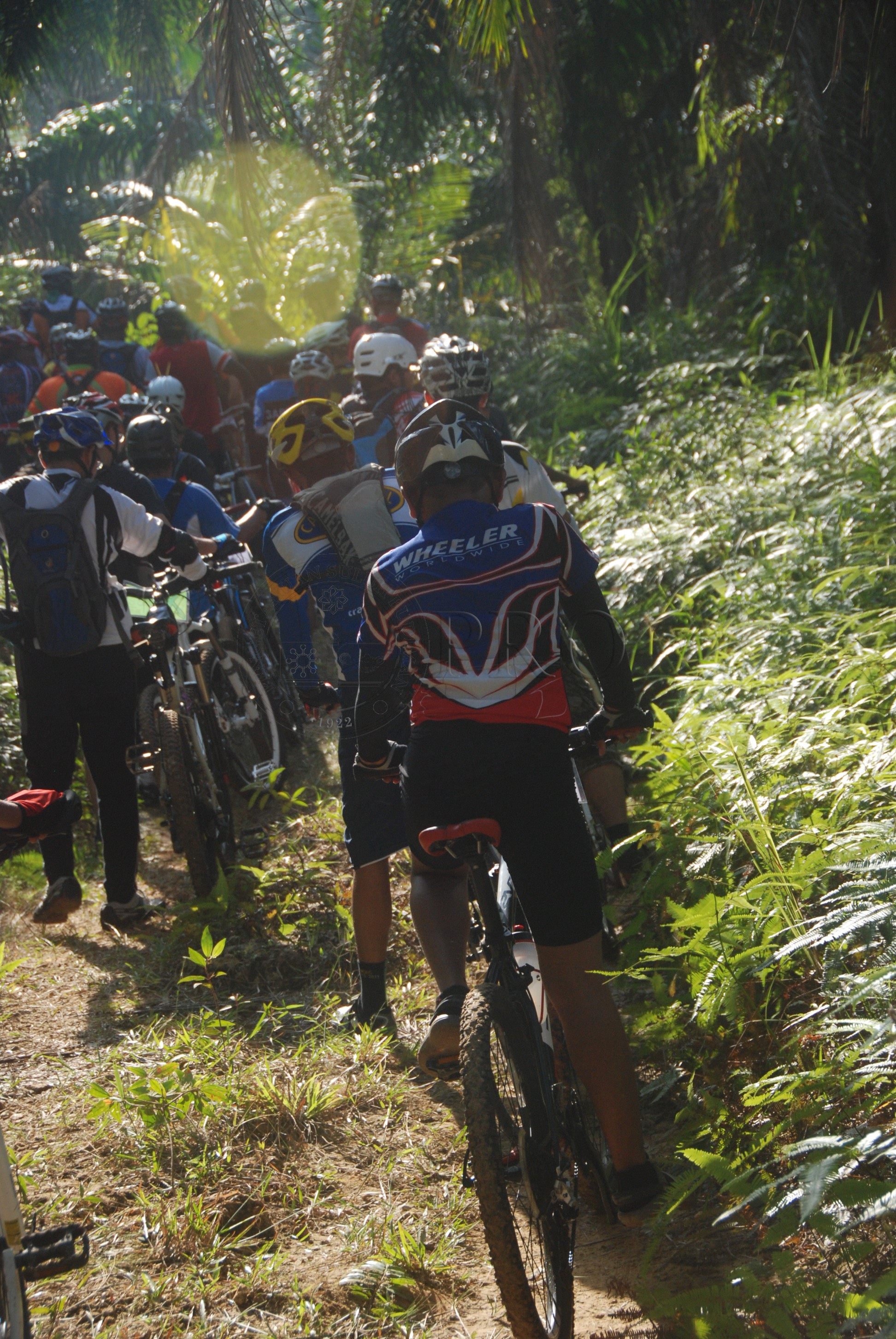 BPKK 12 145 jamboree DSC 1164